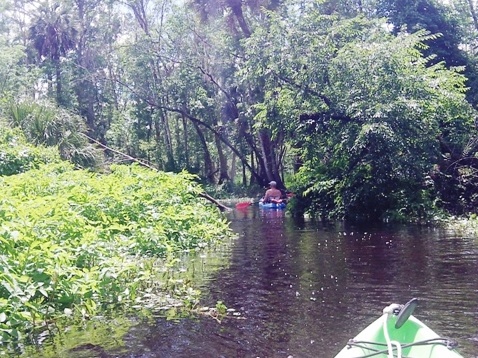 Black Water Creek, Seminole State Forest