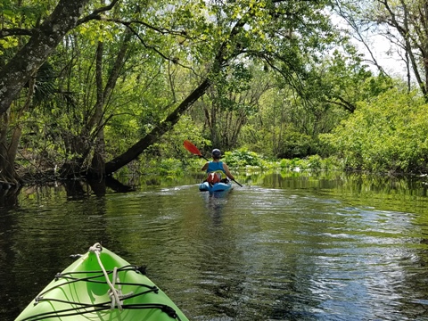 Black Water Creek, Lake Norris