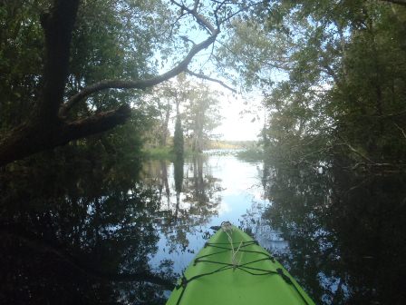 Blackwater Creek