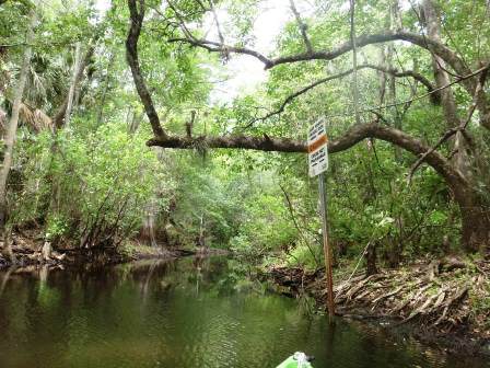 Black Water Creek, Lake Norris