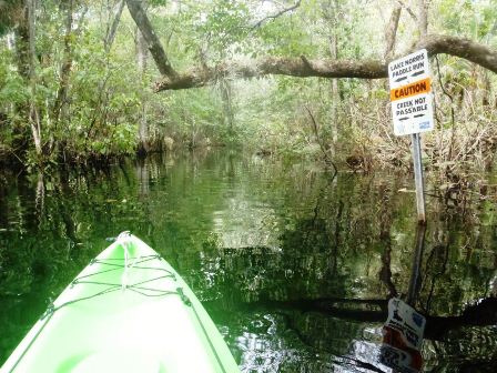 Black Water Creek, Lake Norris