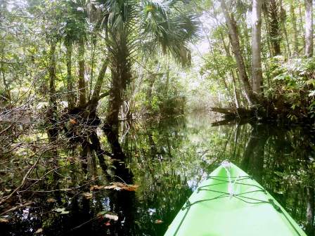 Black Water Creek, Lake Norris