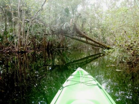 Black Water Creek, Lake Norris