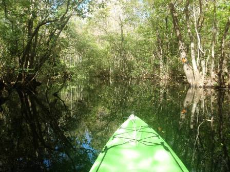 Black Water Creek, Lake Norris