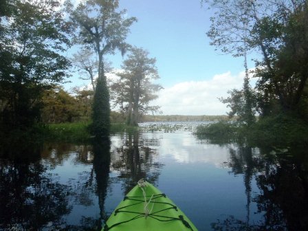 Black Water Creek, Lake Norris