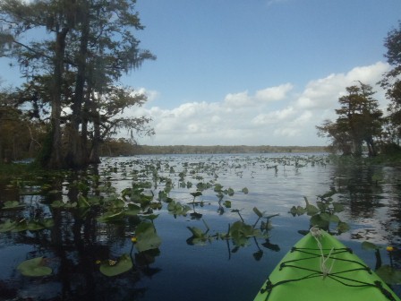 Black Water Creek, Lake Norris