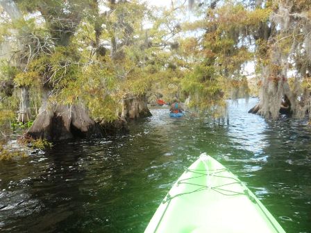 Black Water Creek, Lake Norris