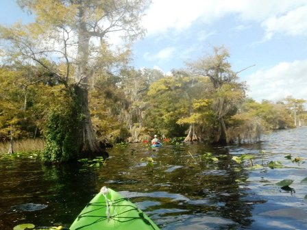 Black Water Creek, Lake Norris