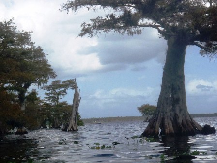 Black Water Creek, Lake Norris