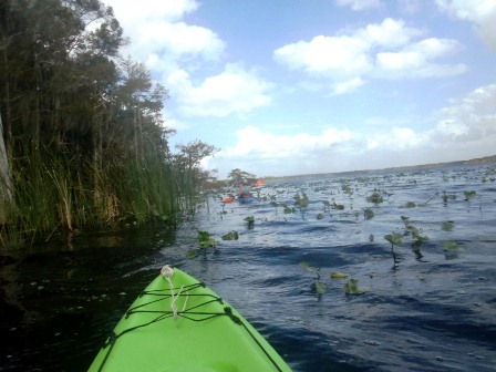 Black Water Creek, Lake Norris