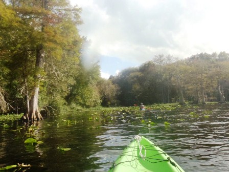 Black Water Creek, Lake Norris