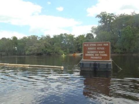 paddling St. Johns River, Blue Spring, kayak, canoe