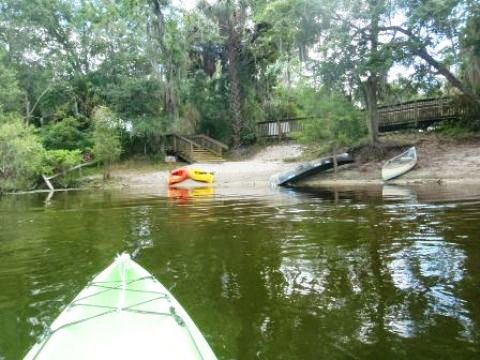 paddling St. Johns River, Blue Spring, kayak, canoe