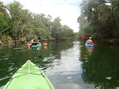 paddling St. Johns River, Blue Spring, kayak, canoe