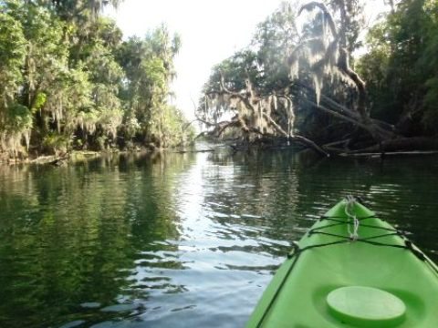 paddling St. Johns River, Blue Spring, kayak, canoe