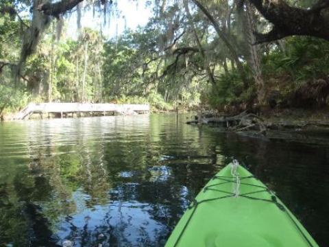 paddling St. Johns River, Blue Spring, kayak, canoe