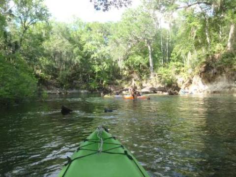 paddling St. Johns River, Blue Spring, kayak, canoe