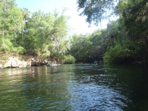 paddling St. Johns River, Blue Spring, kayak, canoe