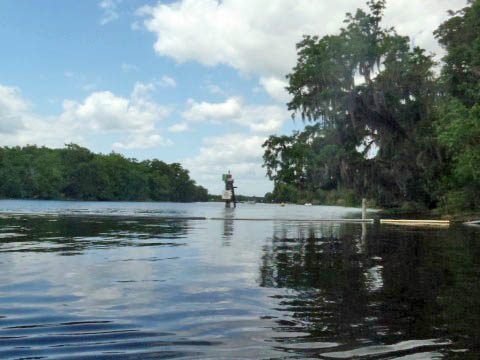 paddling St. Johns River, Blue Spring, kayak, canoe