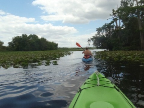 paddling St. Johns River, Blue Spring, kayak, canoe