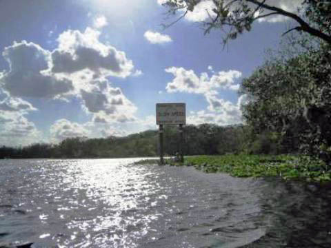 paddling St. Johns River, Blue Spring, kayak, canoe