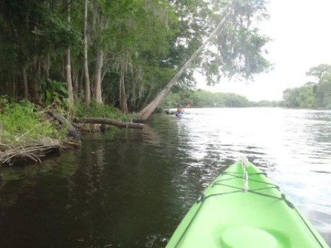 paddling St. Johns River, Blue Spring, kayak, canoe