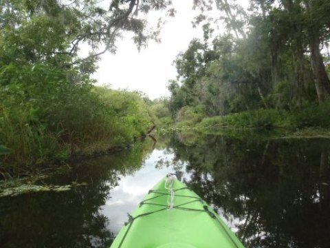 St Johns River-Blue Springs, kayak, canoe