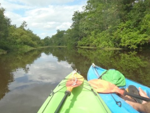 St Johns River-Blue Springs, kayak, canoe