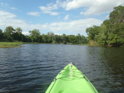 St Johns River-Blue Springs, kayak, canoe