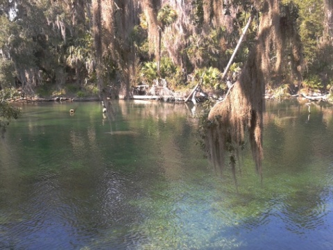 Blue Spring State Park