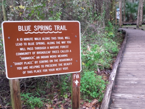 Blue Spring State Park