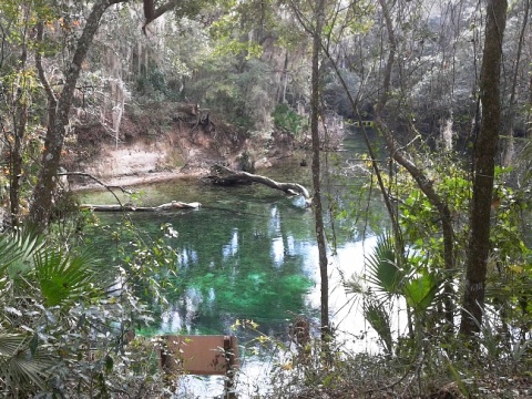 Blue Spring State Park