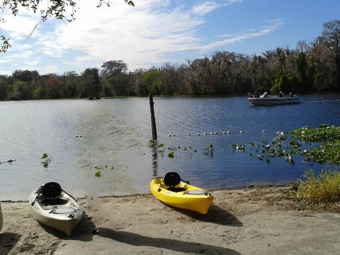 Blue Spring State Park