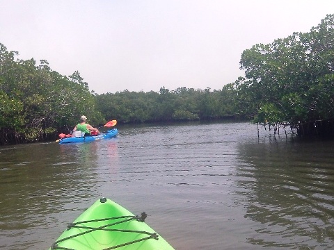 paddle Callalisa 
		    Creek, New Smyrna Beach, kayak, canoe