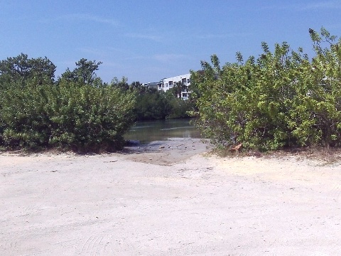 paddling Callalisa Creek, New Smyrna Beach, kayak, canoe