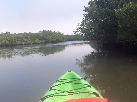 paddling Callalisa Creek, New Smyrna Beach, kayak, canoe