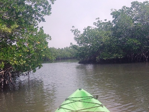 paddling Callalisa Creek, New Smyrna Beach, kayak, canoe