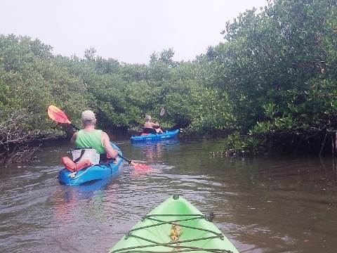 paddling Callalisa Creek, New Smyrna Beach, kayak, canoe