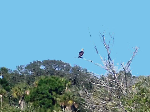 paddling Canaveral National Seashore, florida, kayak, canoe