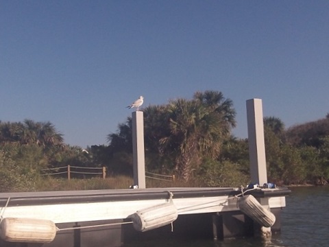 paddling Canaveral National Seashore, florida, kayak, canoe