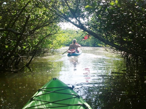 paddle Cocoa Beach,
		    1000 Islands