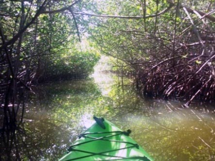 paddling Cocoa Beach, 1000 Islands, kayak, canoe