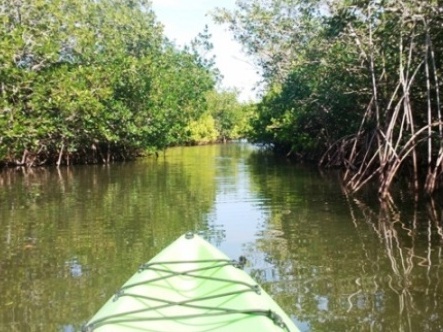 paddling Cocoa Beach, 1000 Islands, kayak, canoe