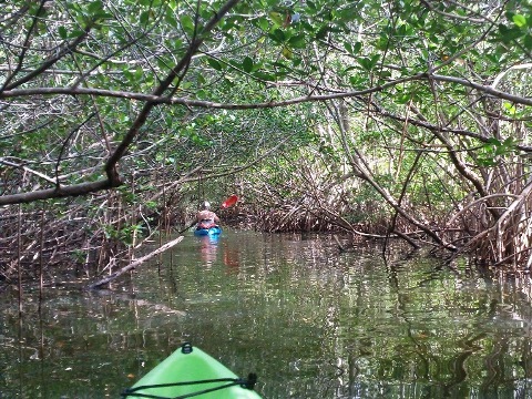 paddling Cocoa Beach, 1000 Islands, kayak, canoe