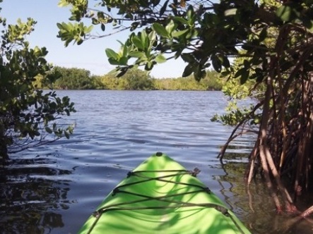 paddling Cocoa Beach, 1000 Islands, kayak, canoe