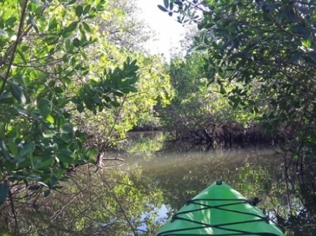 paddling Cocoa Beach, 1000 Islands, kayak, canoe