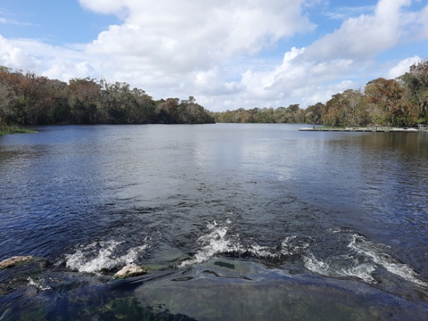 paddling deleon springs, kayak, canoe