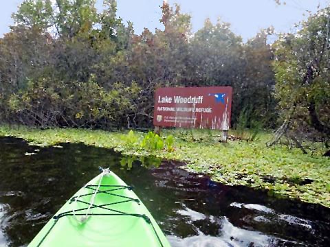 paddling deleon springs, kayak, canoe