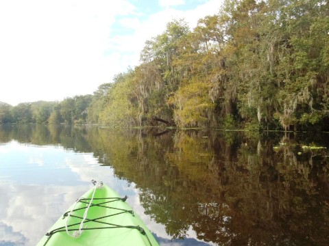 paddling deleon springs, kayak, canoe