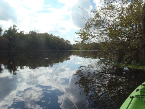 paddling deleon springs, kayak, canoe